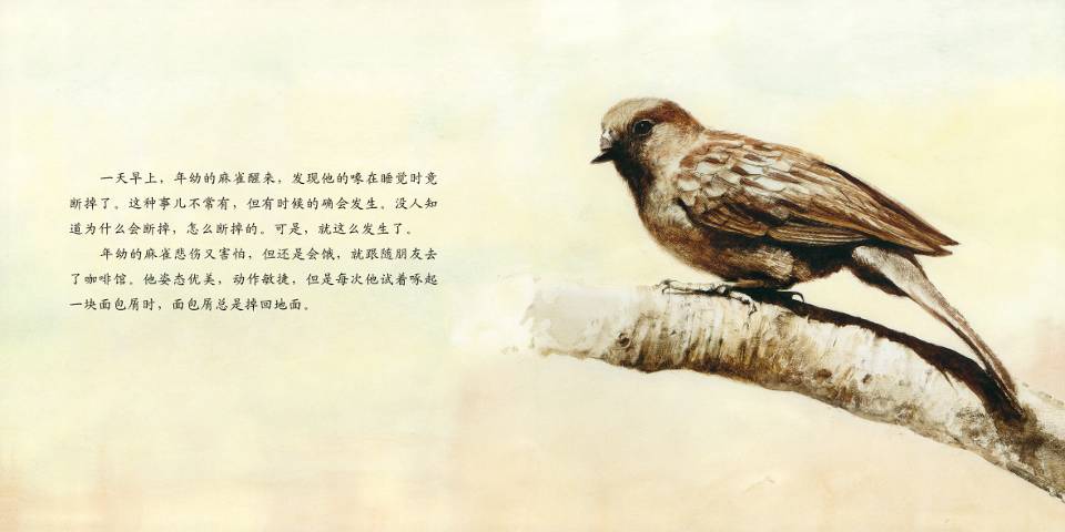断喙鸟 (06),绘本,绘本故事,绘本阅读,故事书,童书,图画书,课外阅读